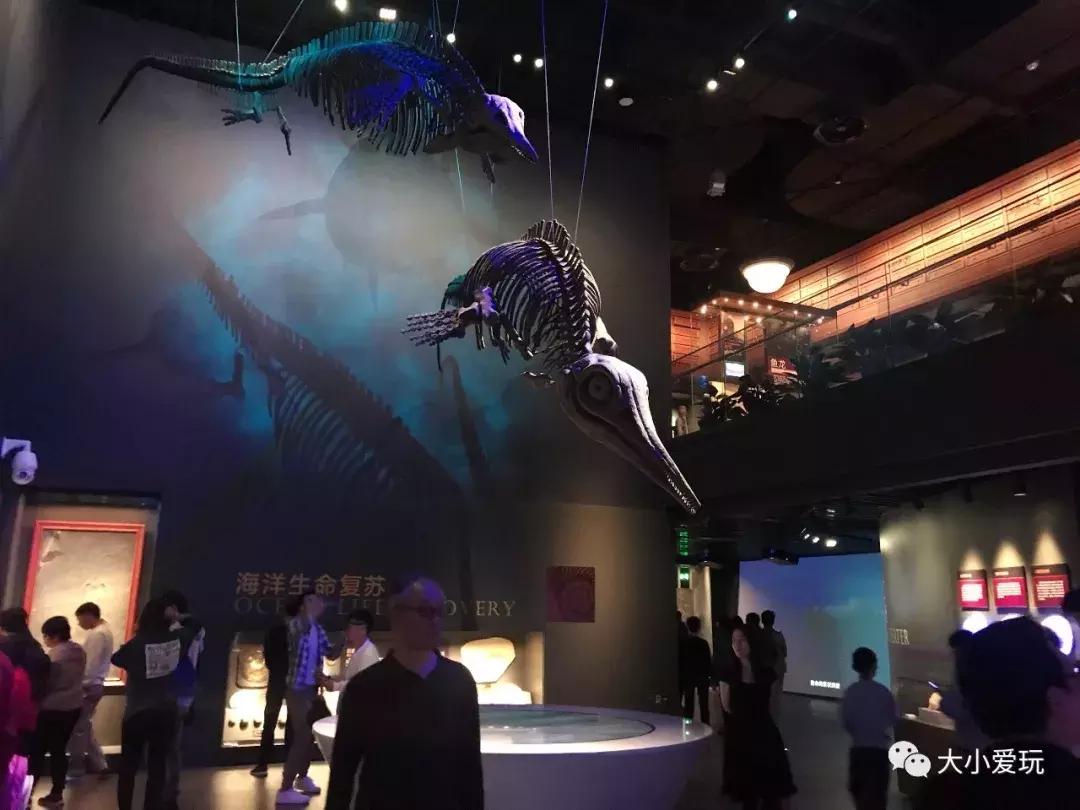 开放首日实探国家海洋博物馆，史上最抢手博物馆究竟长什么样