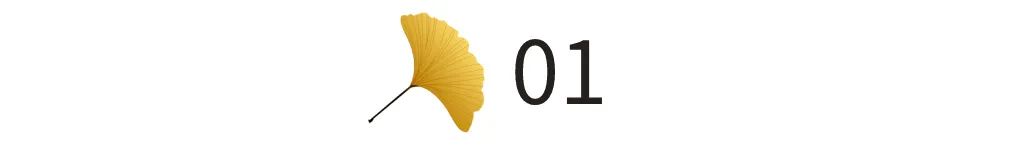 落实垃圾分类主要靠法律还是教育,践行垃圾分类小视频