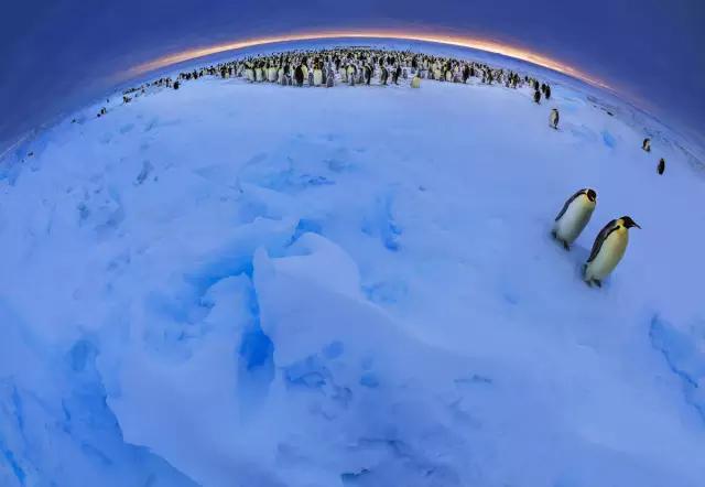 好利来算不算小蛋糕,好利来蛋糕地位