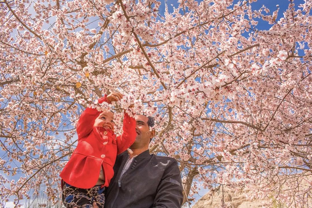 戴口罩的冬天太漫长，差点忘了中国的春天有多美