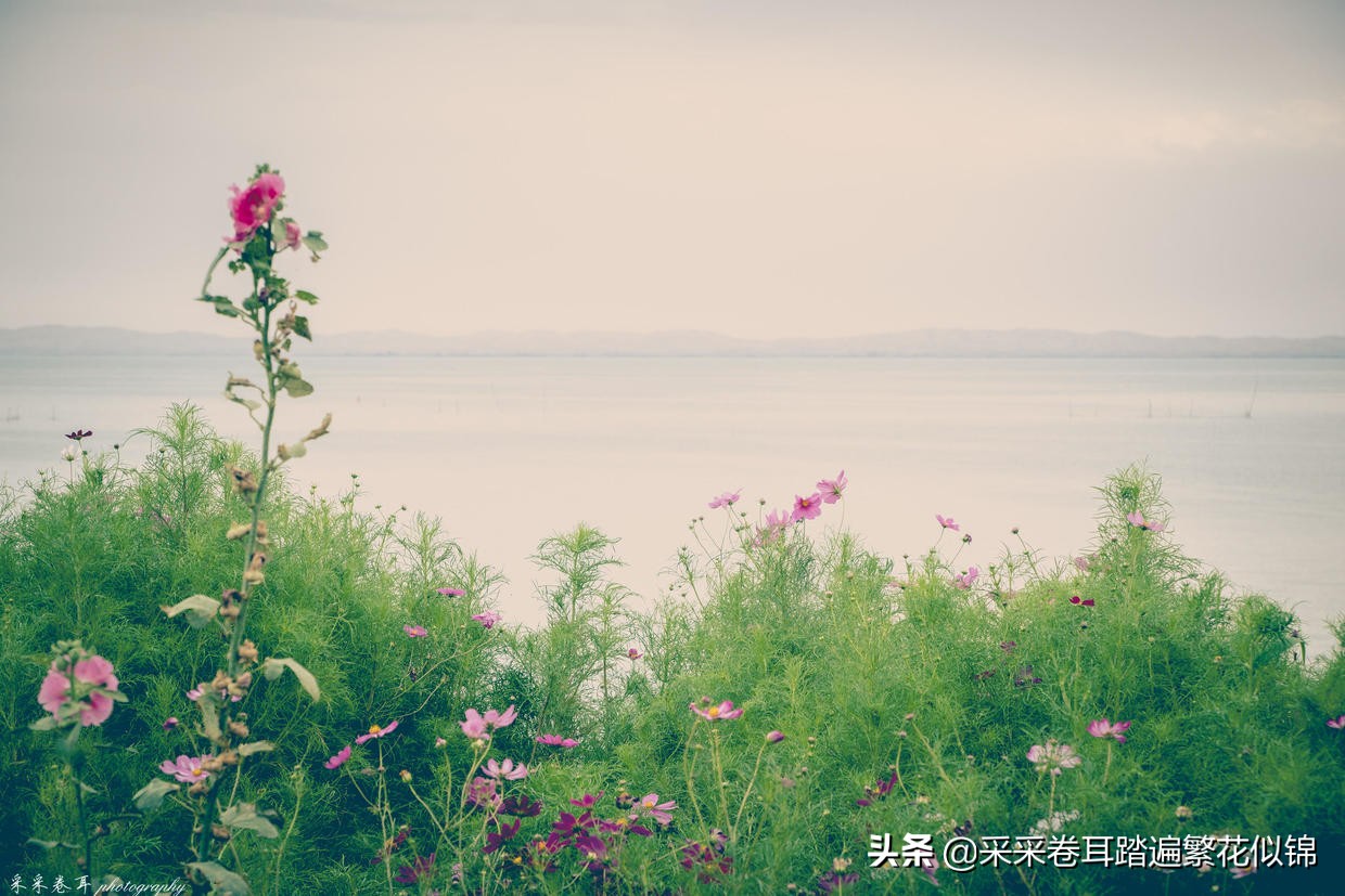 慢游景点,博斯腾湖景点打卡