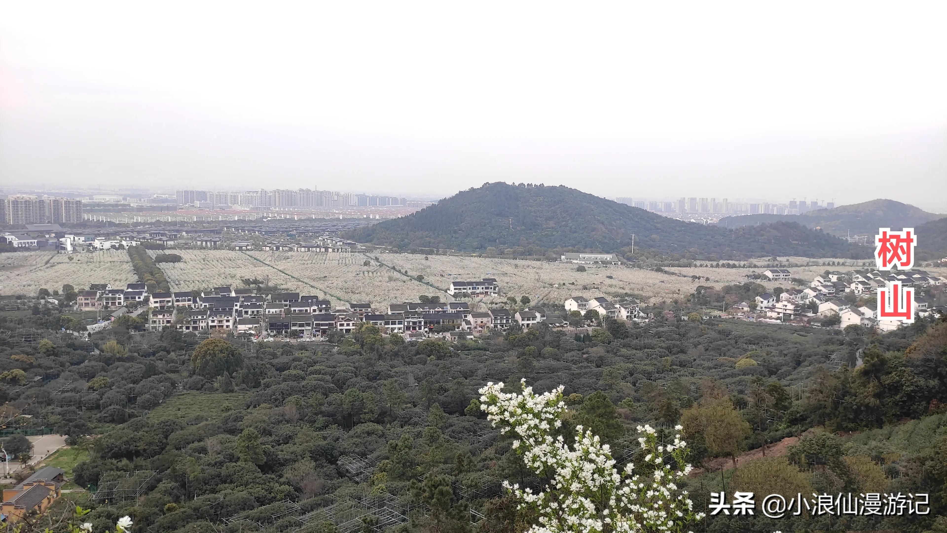 苏州春节免费景点有哪些,苏州景区免费景点大全