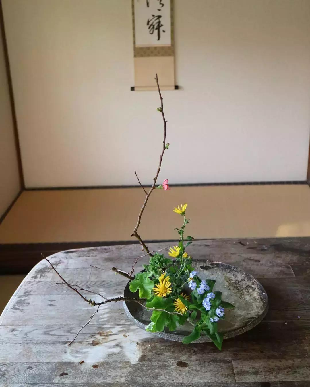 创意禅意插花月季盘花,禅意插花100例兰花