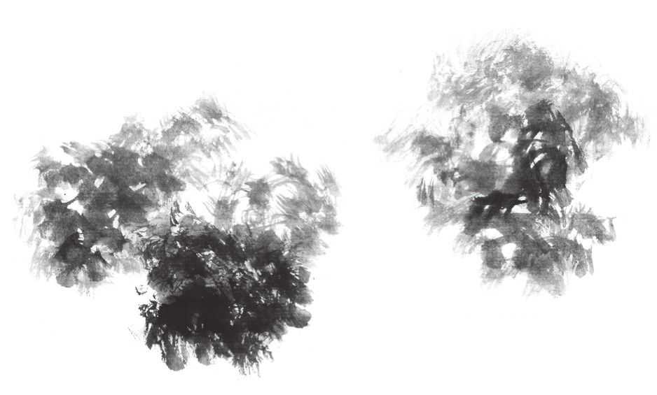 国画刘存惠荷花画法全视频,国画山水画教学视频荷花画法