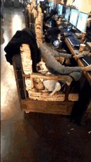 只能亮度调亮才能看得懂的梗,调高亮度才能看懂的梗