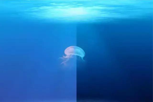 摄影三原色调色教程,三原色调色摄影