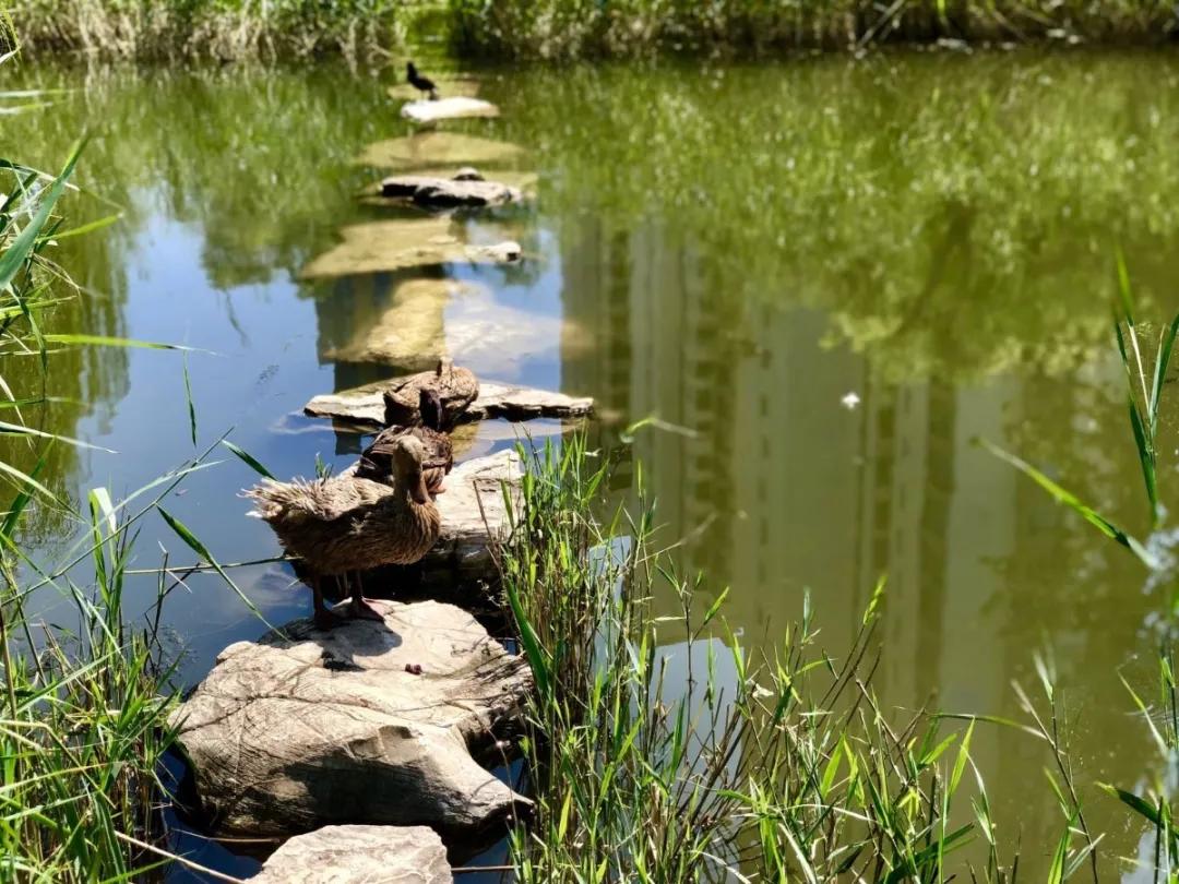 天津十大自然风景区,天津九山顶自然风景区赏秋