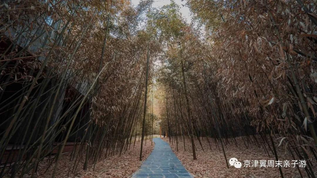 霸州日月潭温泉会馆介绍,霸州日月潭温泉攻略