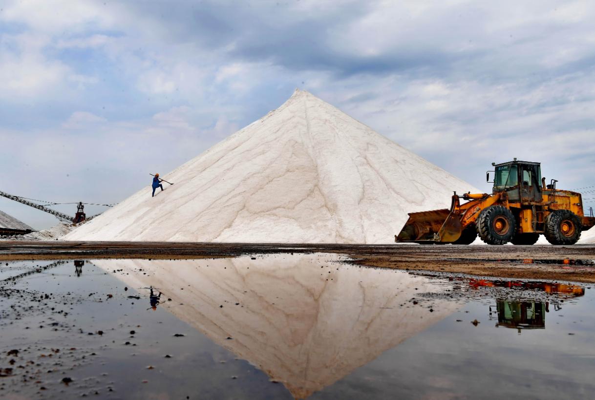 动物不用吃盐吗,宠物真的不能吃盐吗