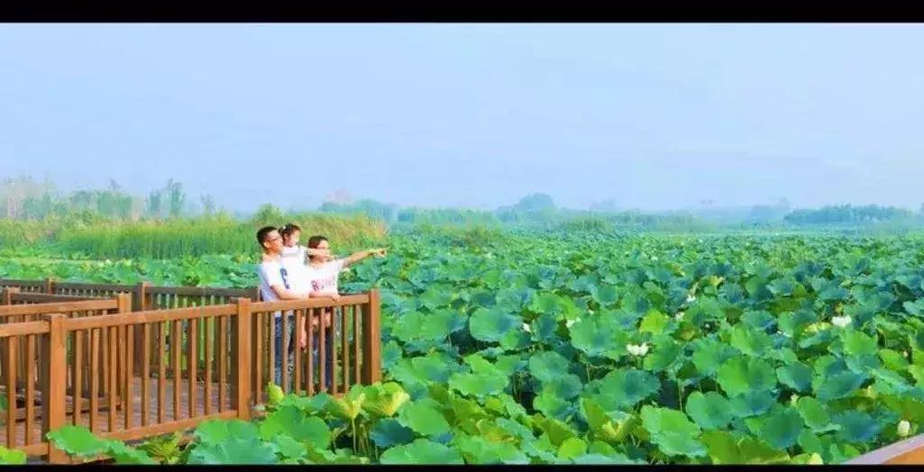 盛夏来感受传统古村落的气息,高青慢城