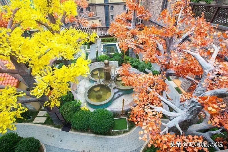 天津仁爱团泊湖温泉夏天,天津热带雨林主题温泉