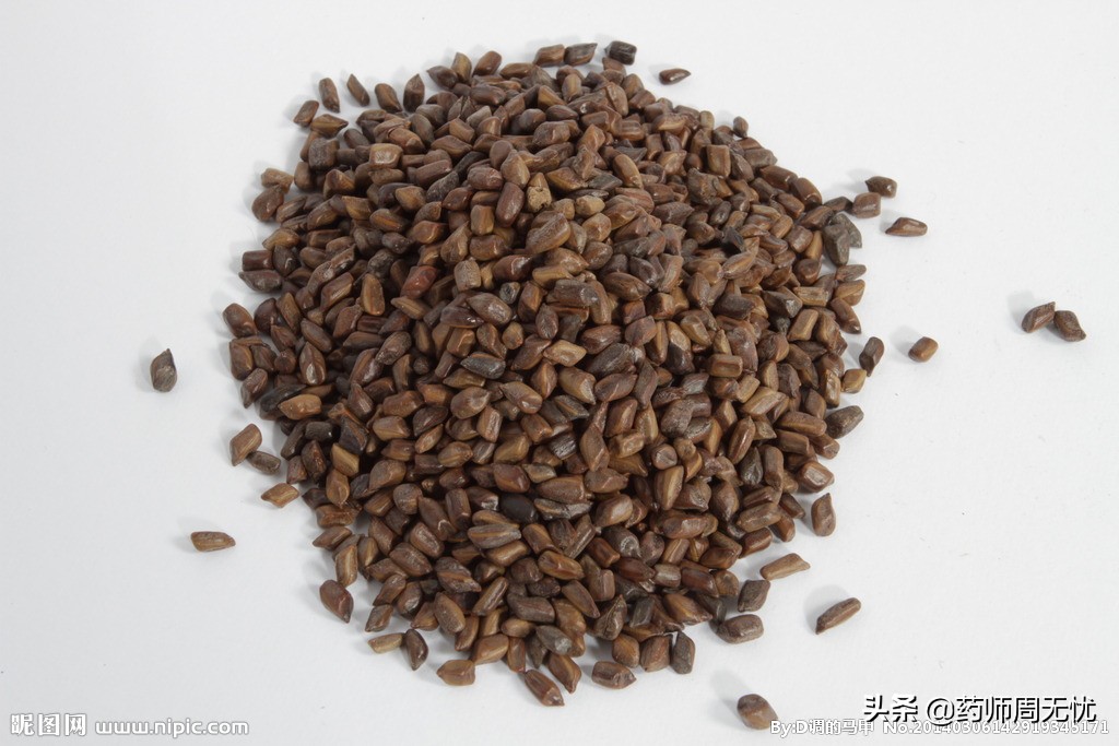 决明子功效作用,白话中医药