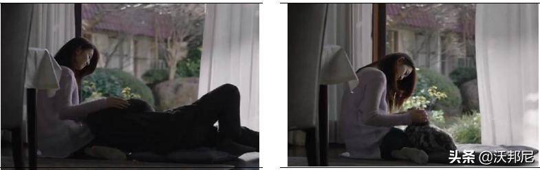 宠物系列全集,宠物全系列