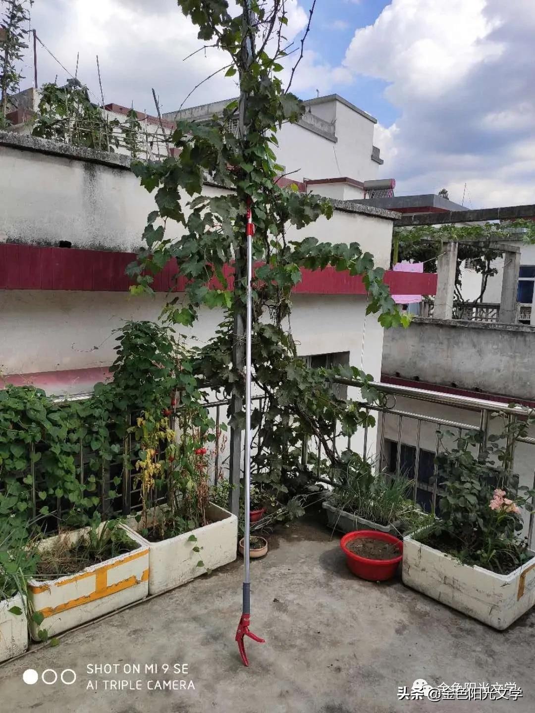 写我的乐园的作文,我心中的乐园作文