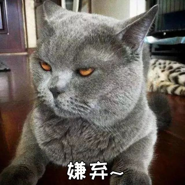 猫咪突然睡在猫砂盆里是什么情况,猫咪突然不在猫砂里尿了怎么回事