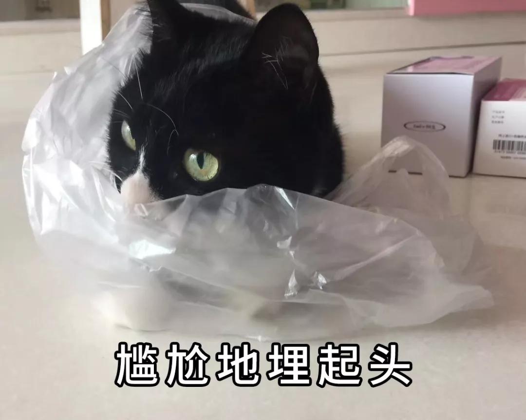 同样是线上恒大卖房子可以红星卖家具为什么就不行?