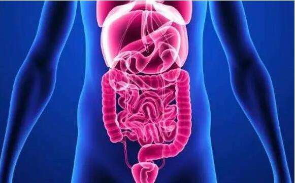 腹胀便秘吃什么最快排便,腹胀大便燥结吃什么药可以排便