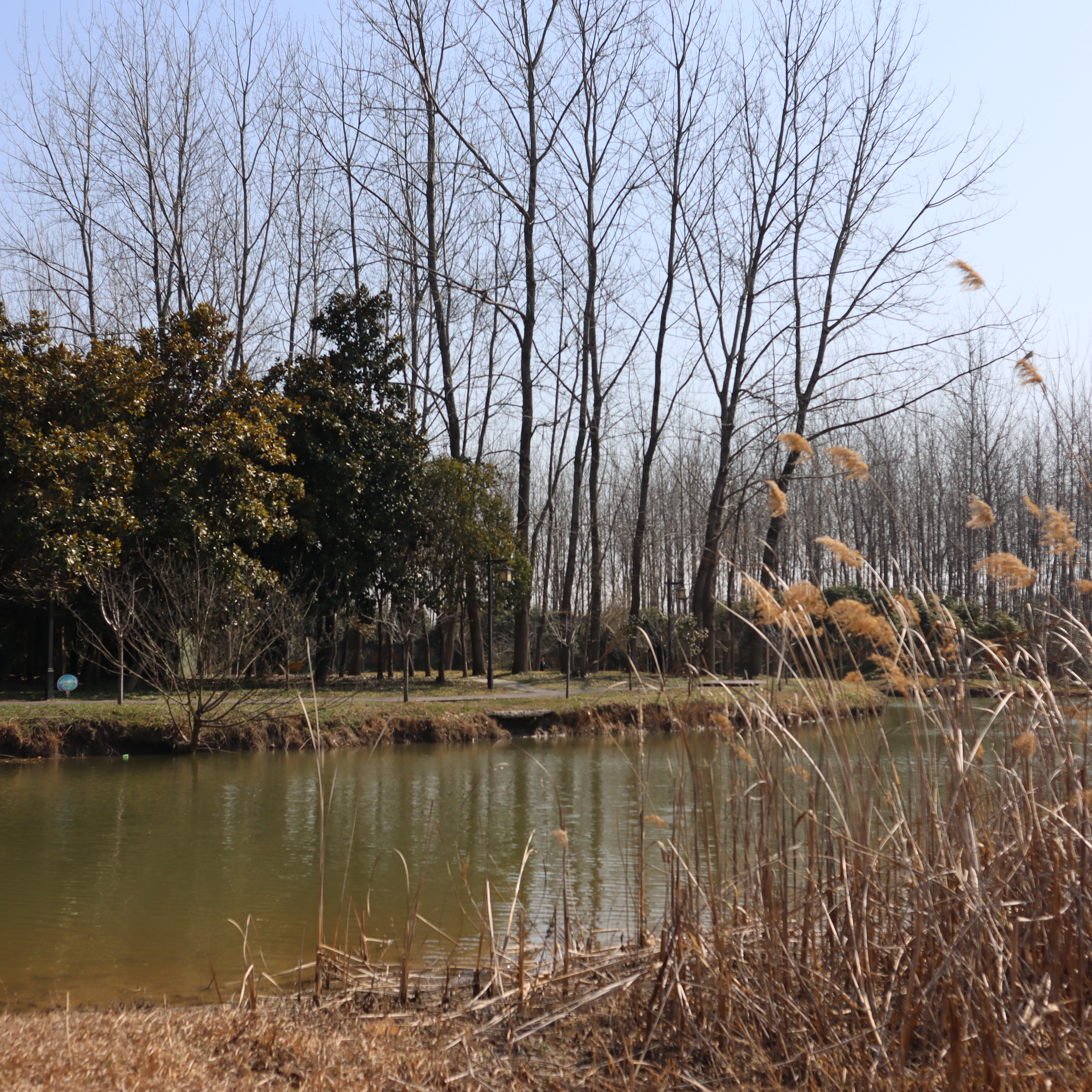 扬州扬子津郊野公园,扬州城市书房附近的公园