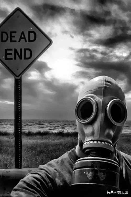 鱼鳔胶怎么样的好,鱼鳔和鱼鳔胶区别