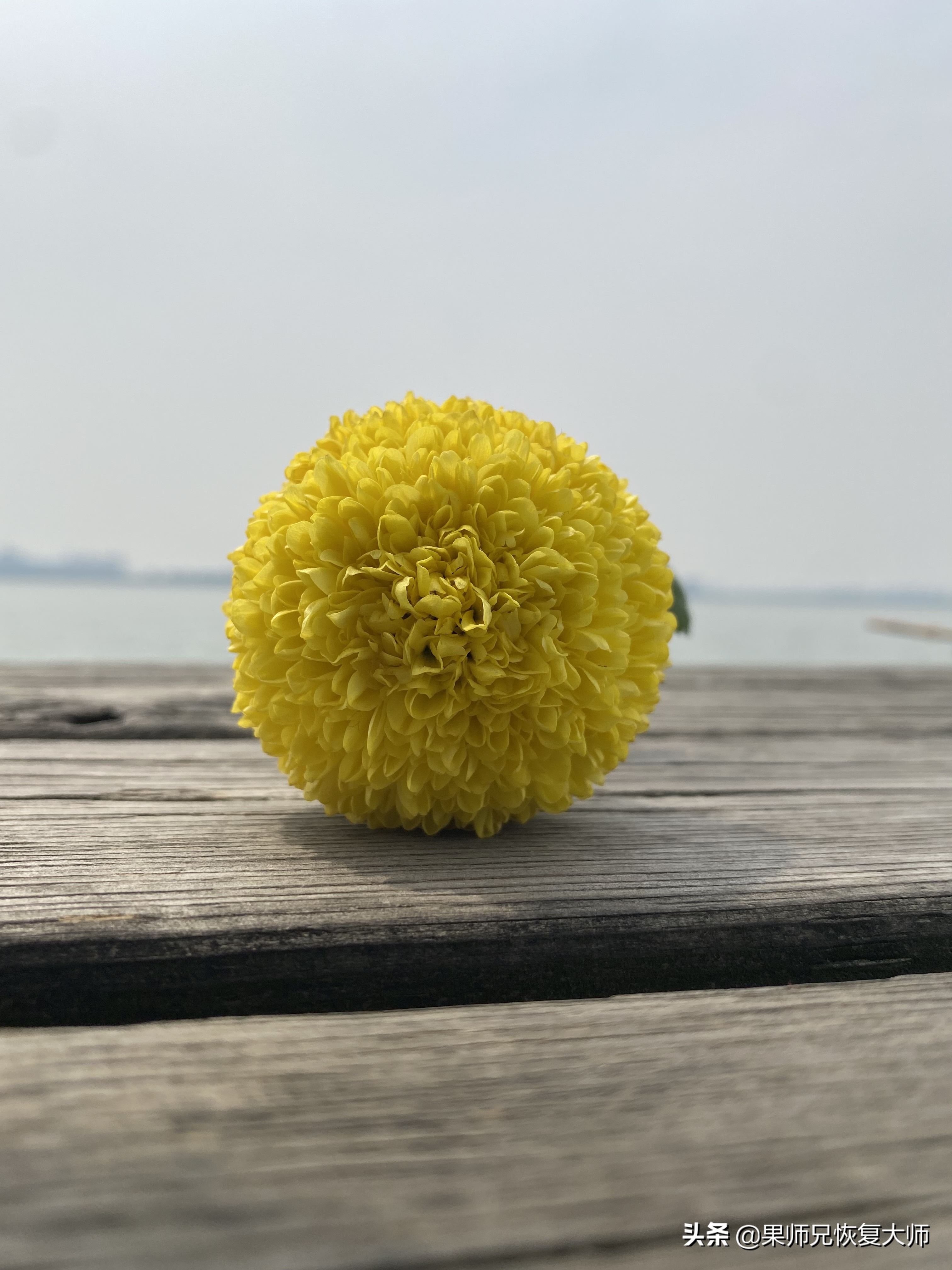 iPhoneSE初体验！性能强劲，续航一般，信号担忧