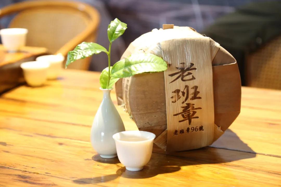 「茗边聚焦七彩云南·庆沣祥系列报道之③」浅谈百山百味