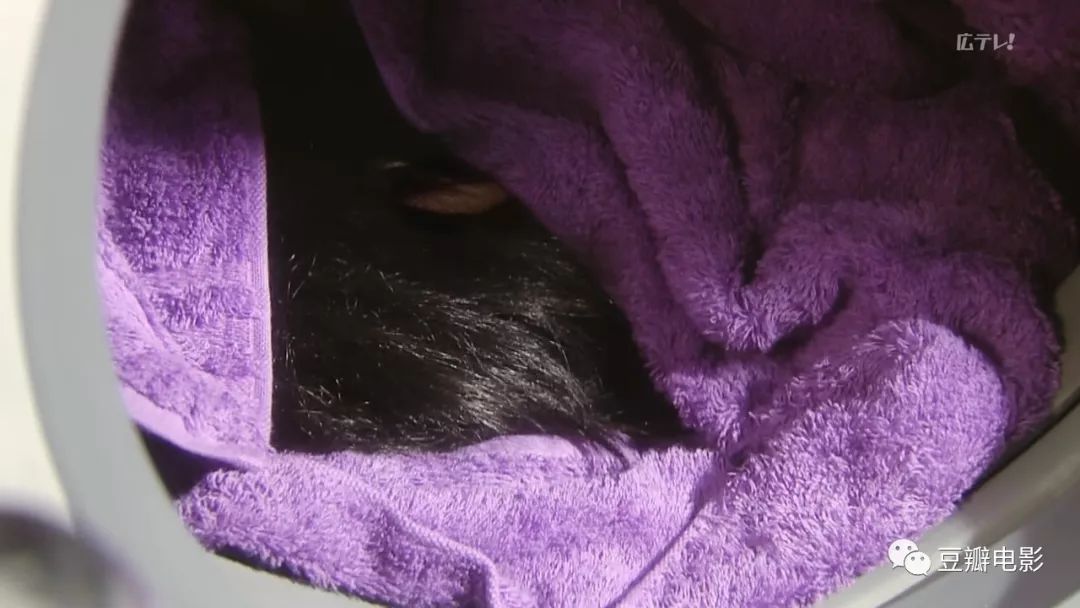 最新反转多次的悬疑剧,前两天悬疑新剧