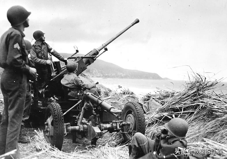 二战瑞典博福斯40mm高射炮详情,苏联博福斯高炮