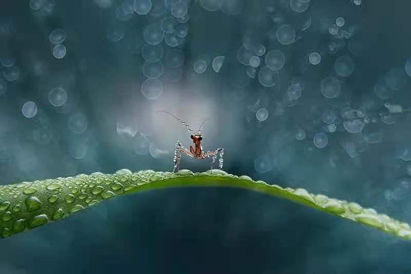 吸引力法则七条终极秘密,宇宙吸引力法则秘密完整版