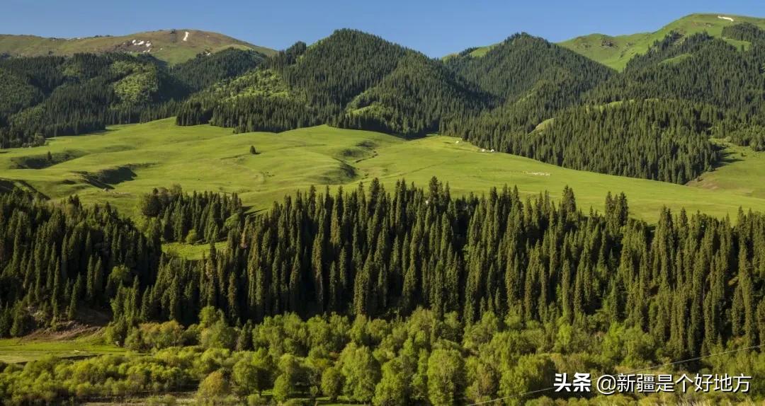 收藏!*疆新**60个“网红”打卡地都在这里