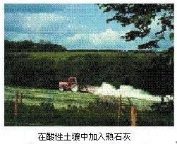 初三化学盐与化肥教学视频,化学第十一单元盐化肥知识点总结