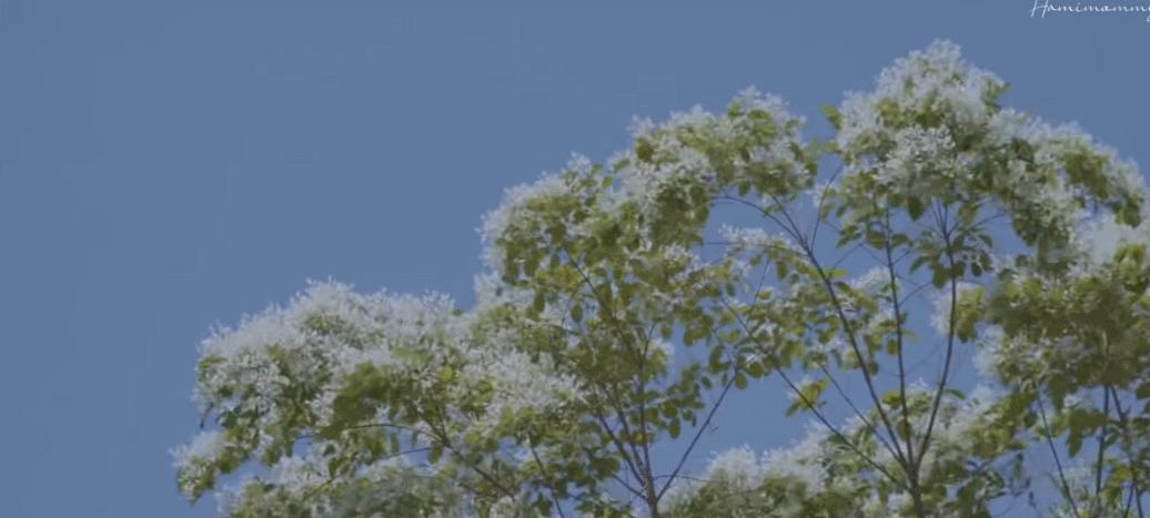 5个很少人知道的生活清洁小妙招,家居清洁都有哪些诀窍快来看看吧