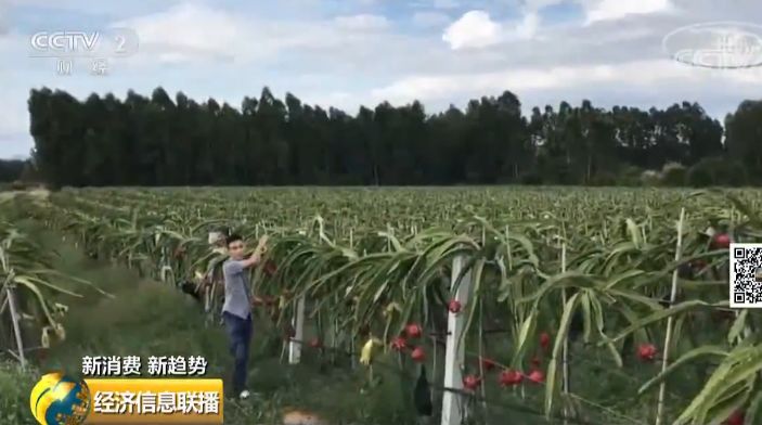 日赚过万的赚钱项目,日赚过百的项目