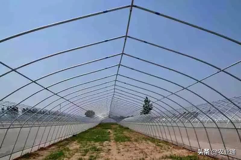 最新的温室大棚技术,小型温室大棚用什么样的大棚