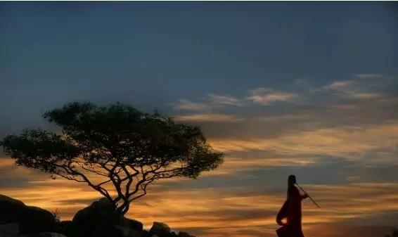 一位期货过来人的忠告,一位期货老兵的投资感受