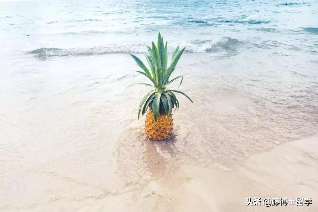 活跃的老太太们抖音生活日记,中年人朋友圈都发些什么