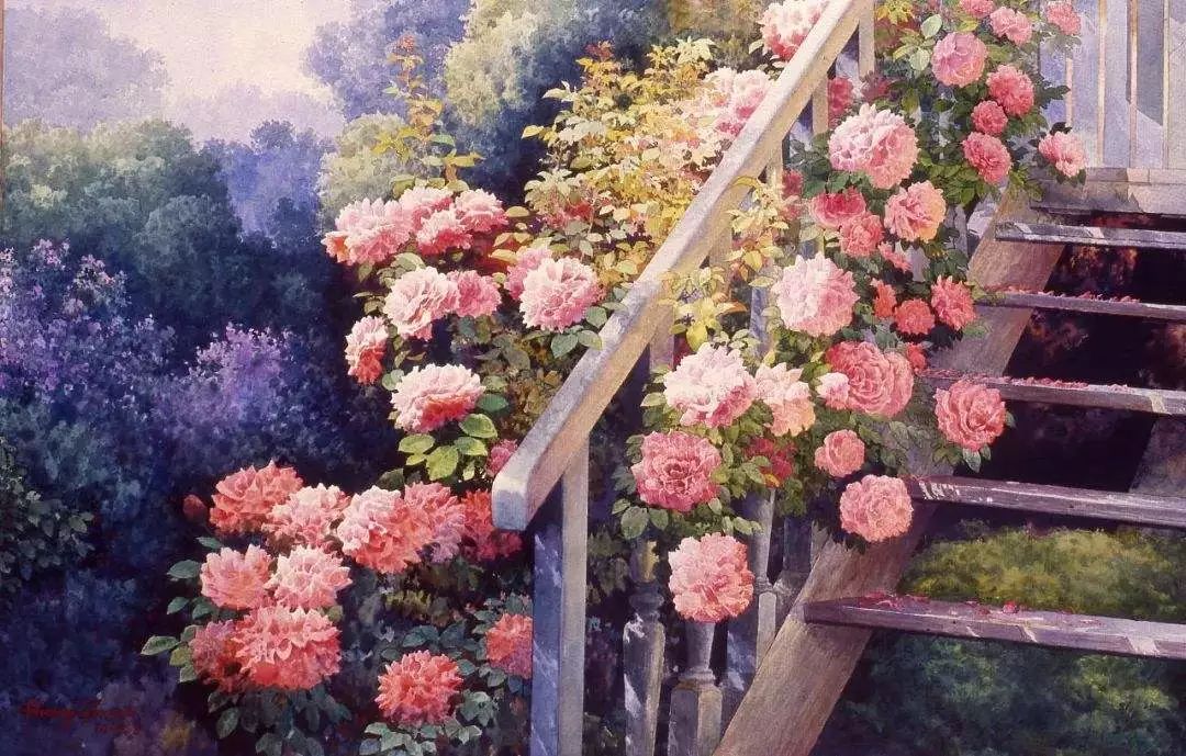 我本以为它只是一本教种花的书，没想到它却在我心里造了一个花园