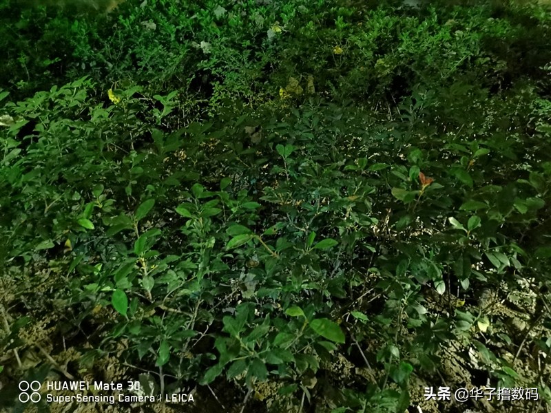 华为mate305g还值得入手,华为mate305g适合入手吗