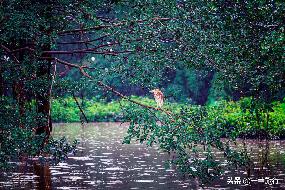 广东省五邑,五邑侨乡为什么是中国第一侨乡