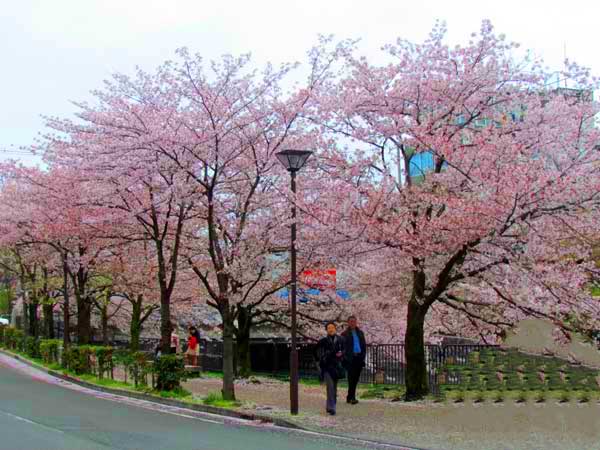 日本埼玉浦和,日本女团琦玉体育馆