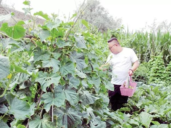 退役军人创业视频音乐,退伍军人的创业风采