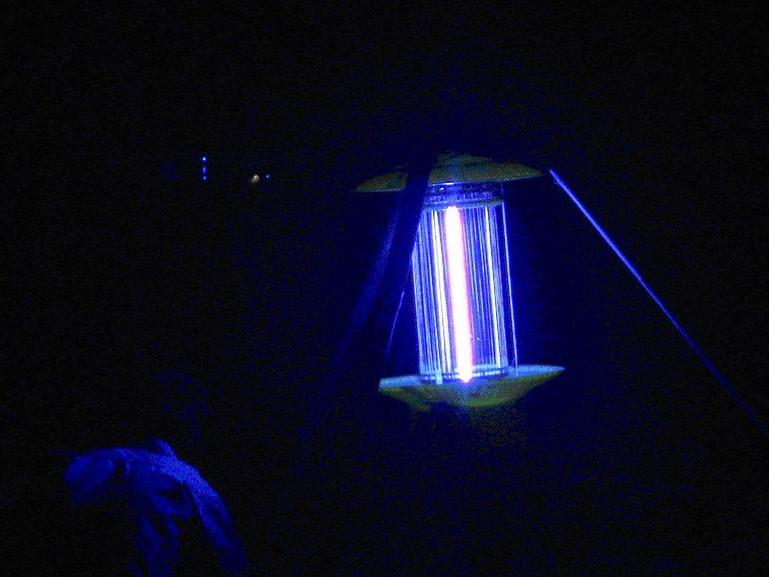 物理杀虫原理,物理杀虫详细介绍