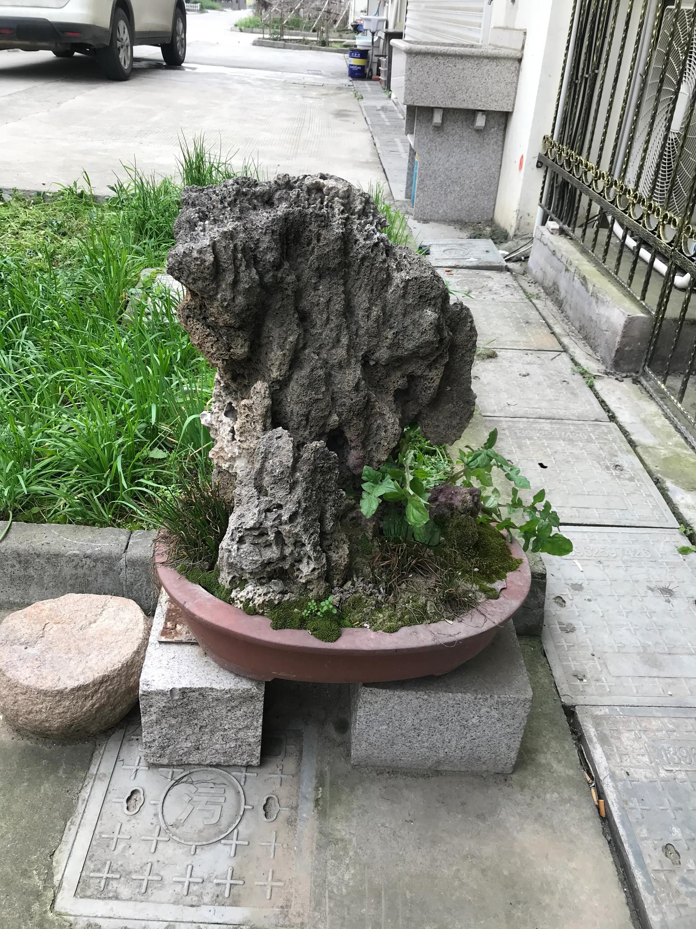 苏州吴江震泽八都,吴江区震泽八都贯桥社区