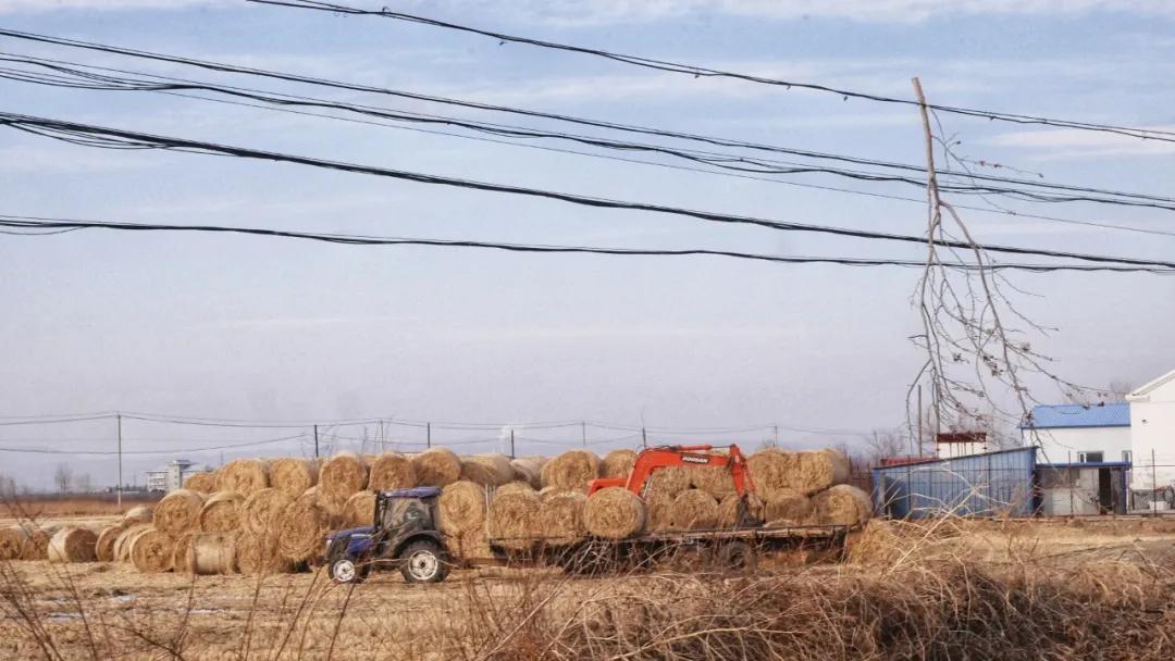 哎呀妈呀思密达，这座边境小城让我成功穿越