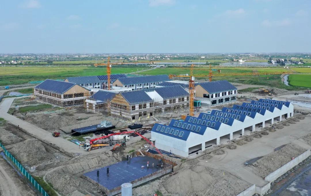 兴化水上基地,兴化水上森林项目