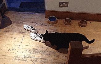 夏季脚气的最佳治疗方法,夏季脚气高发如何才能不受气