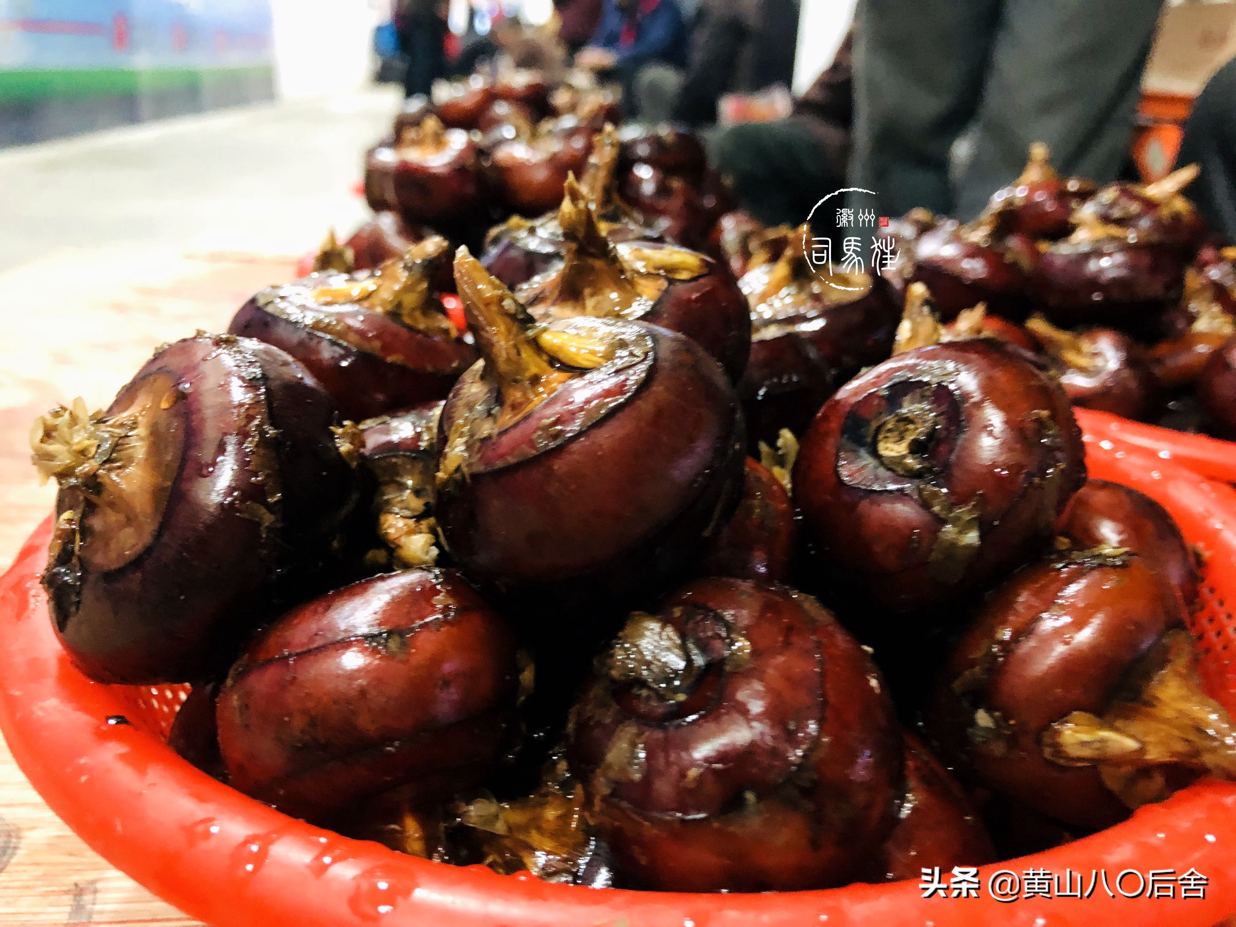 鑸屽皷涓婄殑缇庨鑽歌崰,鑸屽皷涓婄殑涓浗榛勫北姝欏幙鑽歌崰