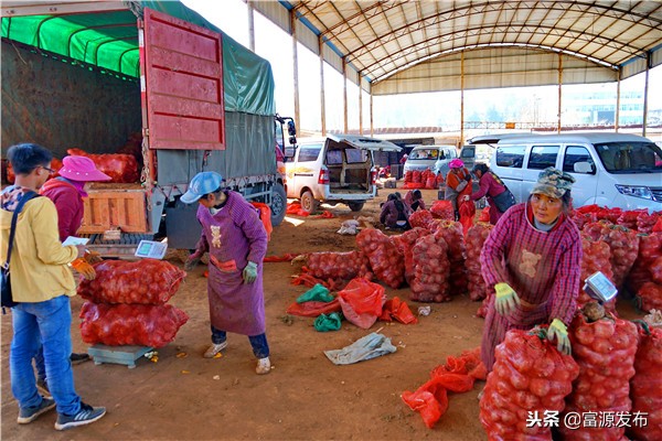 富村魔芋交易市场小区,广东最大魔芋批发市场