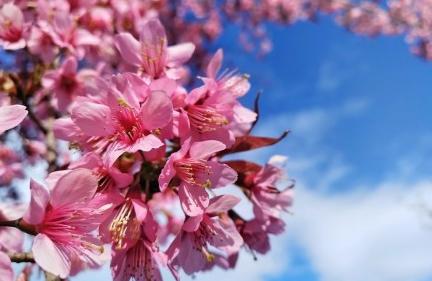 昆明适合拍照的景点有哪些,昆明大理周边旅游景点排名榜前十
