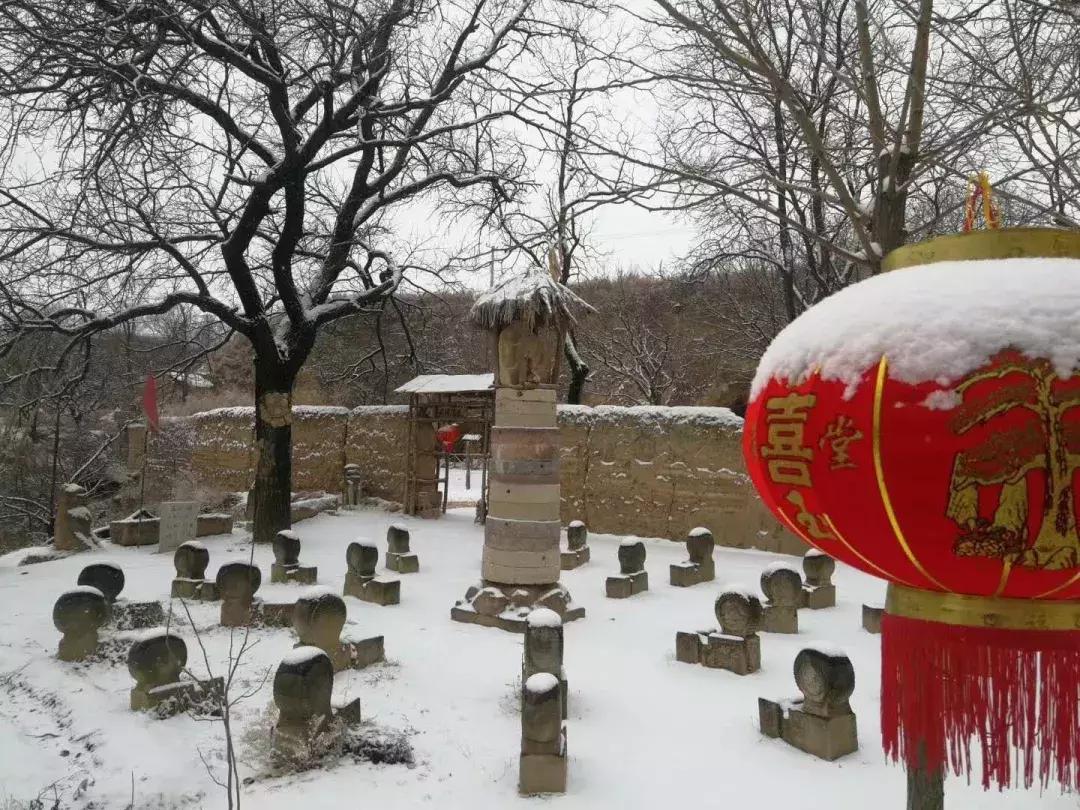 “西北奇葩”阳朵姥姥用报纸、碎布、树叶作画,惊艳!