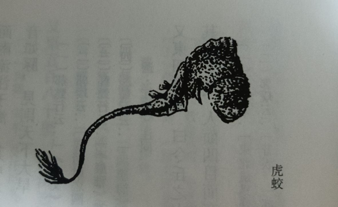 山海经中关于长白山的记载,祷过山